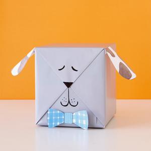 Grey Climbers Attire Box