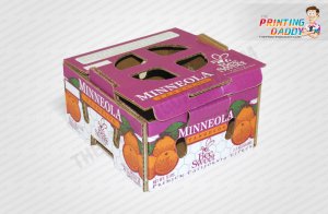 Indian Food Takeout Box The Printing Daddy