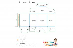 Tuck End CD Case The Printing Daddy