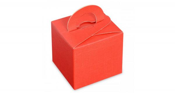 Red Recovery Box with Handle