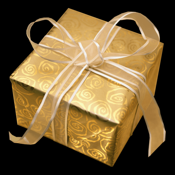 Pink Sleeve with Gold Foil Logo