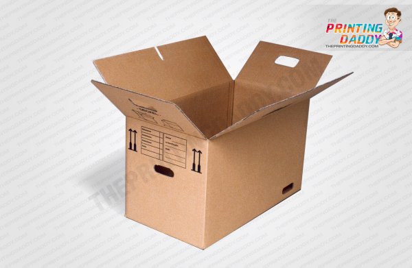 Corrugated Box with Double Lid Locks