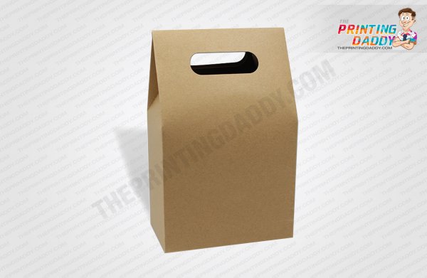 Kraft Box with Twisted Paper Handle The Printing Daddy
