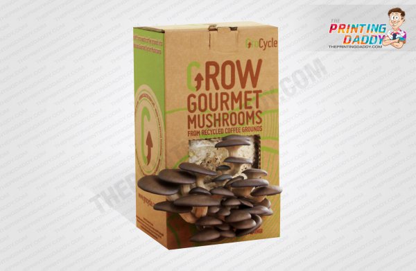 Mushroom Kit Box The Printing Daddy